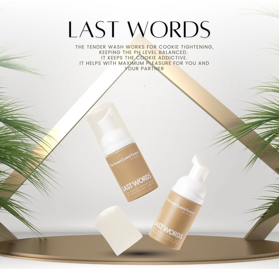 ๐งผ LAST WORDS - exactly that.